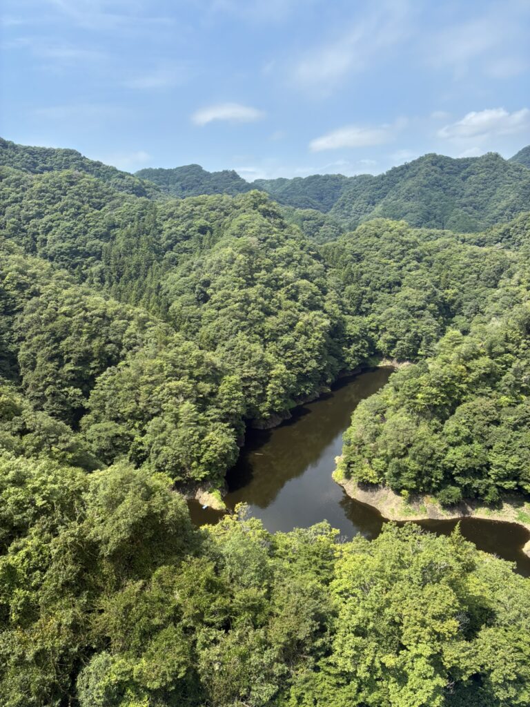竜神大吊橋からの景色①