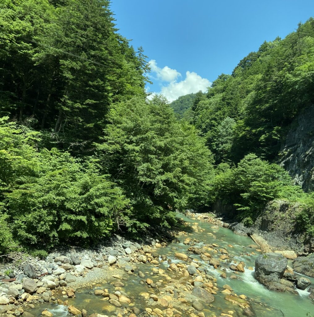 上高地行き路線バスから②