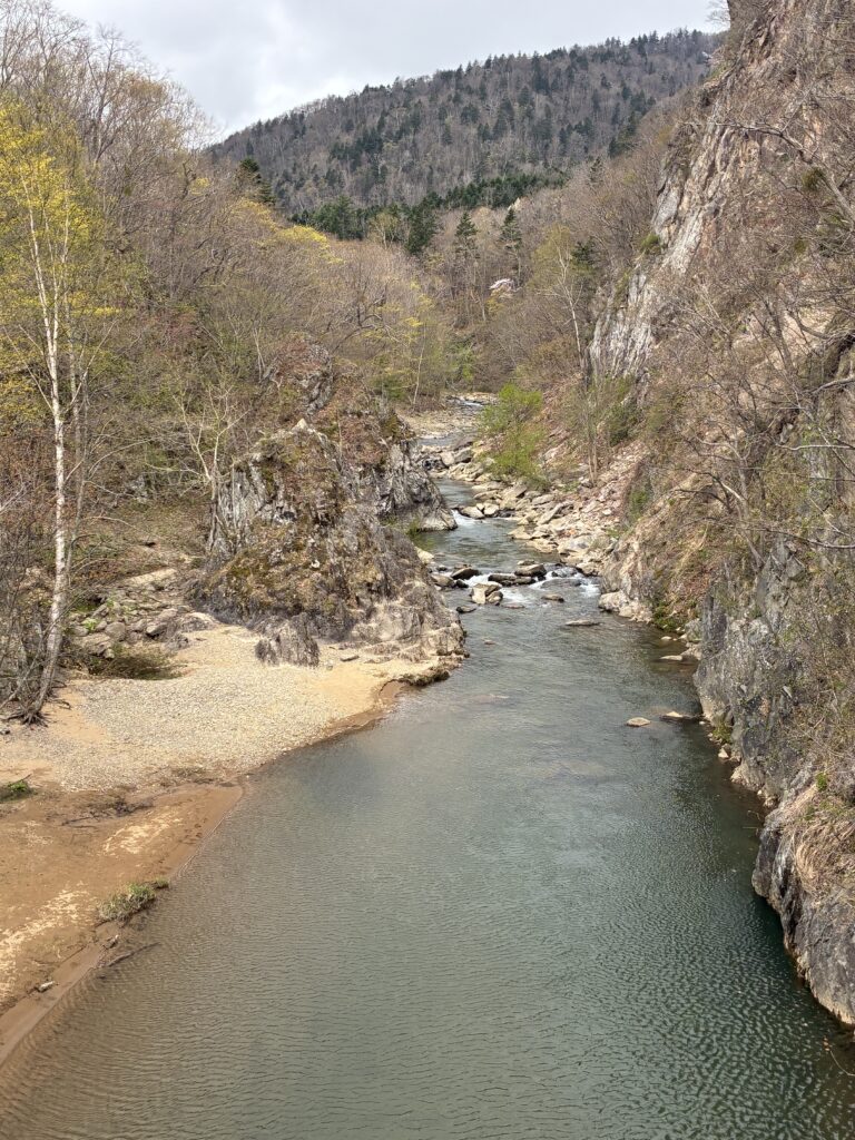 二見吊橋からの渓谷