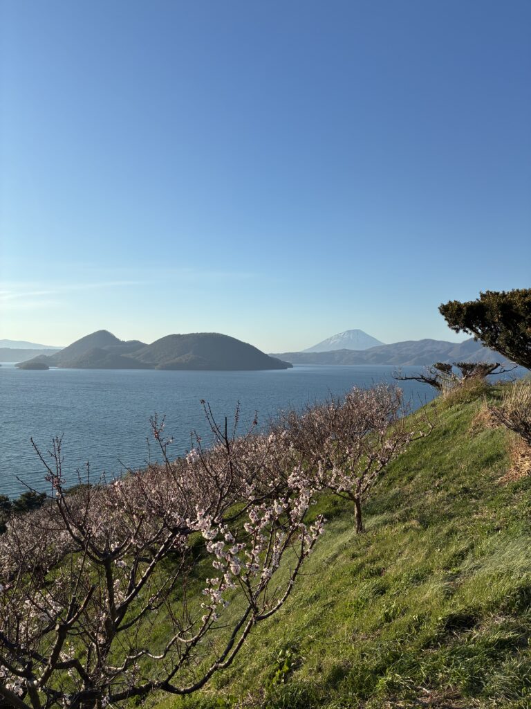 壮瞥公園洞爺湖展望台